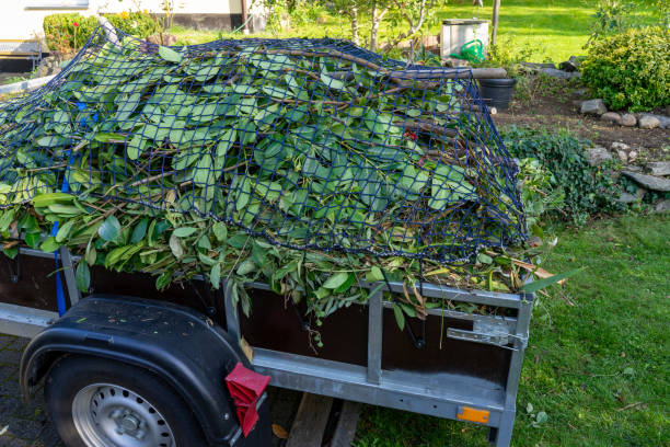 Best Dumpster Rental Services  in Lockhart, TX